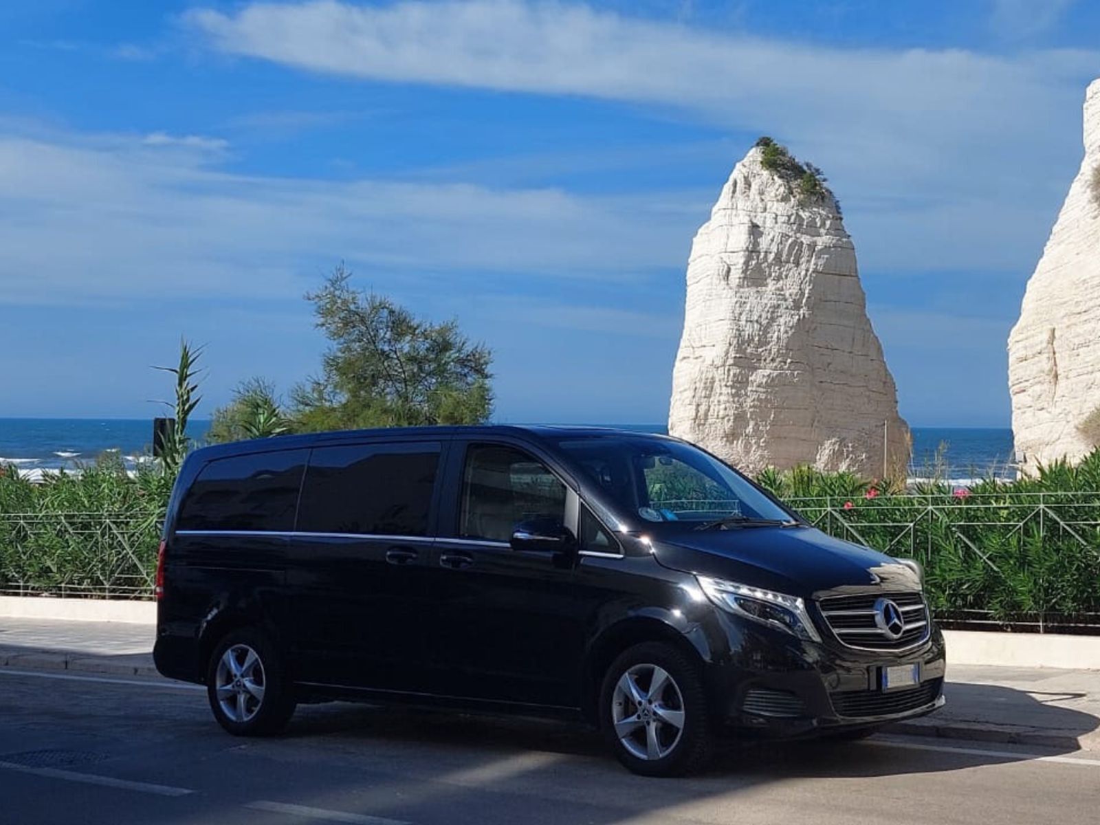 Flotta autoservizi campanellla 14